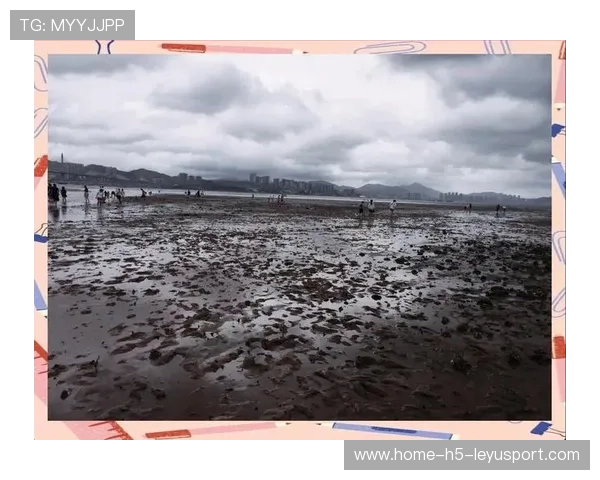 台风过后惠州赶海热潮涌现，惠州海边能赶海吗