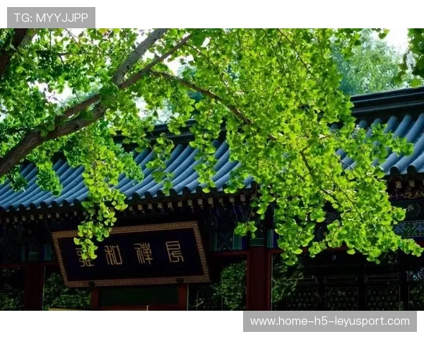 梁馨枰谈人生感悟:旷野是生命的真谛,旷野原文 梁馨枰谈人生感悟:旷野是生命的真谛,旷野原文